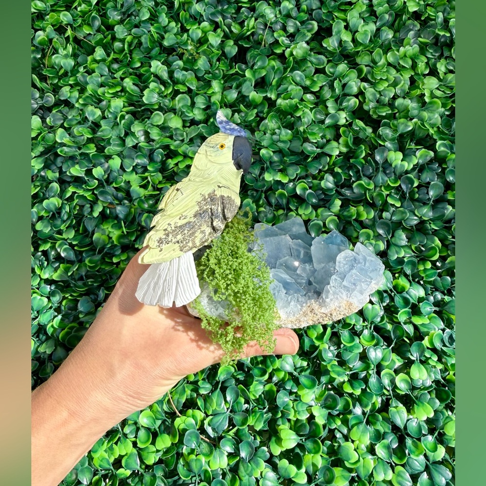 Parrot carving on Celestite Cluster || Handcrafted collectible Crystal Art